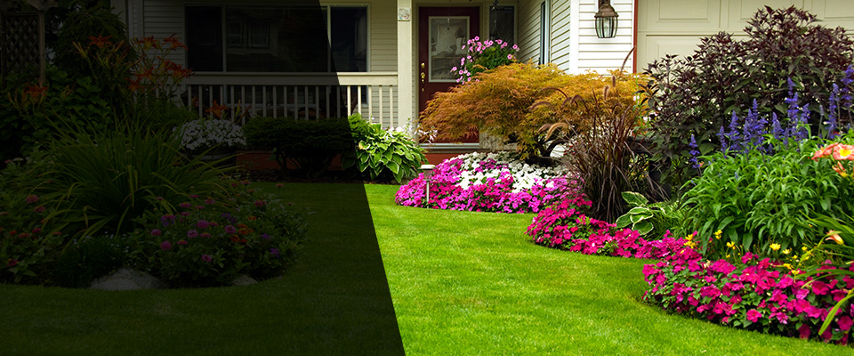 Snow Hill Landscapers